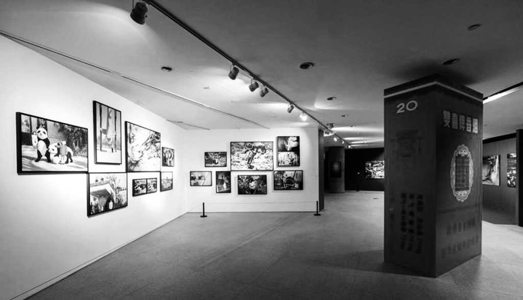 Unfamiliar Asia, Beijing International Photography Biennial, 2015, Space 1 2015“陌生的亚洲”北京摄影双年展展览现场 1
