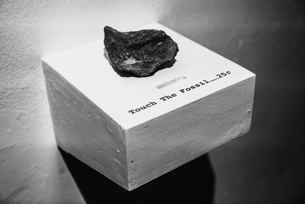Touch The Fossil… 25¢, 2016, fossil, plinth, dimensions variable 施昀佑作品《摸一下二角五分( 一 )》，2016年。化石，基座，尺寸可变。